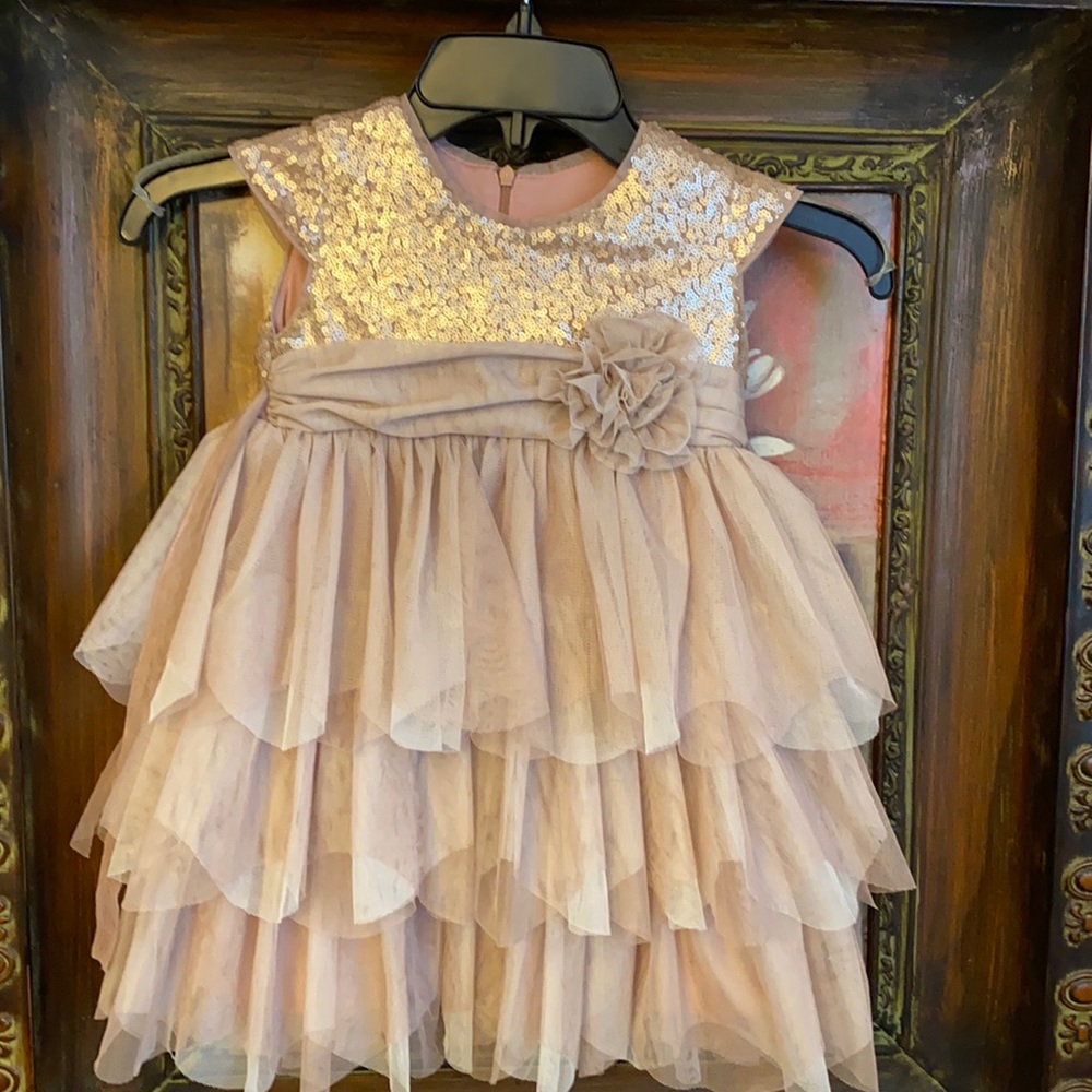 Fancy toddler dress